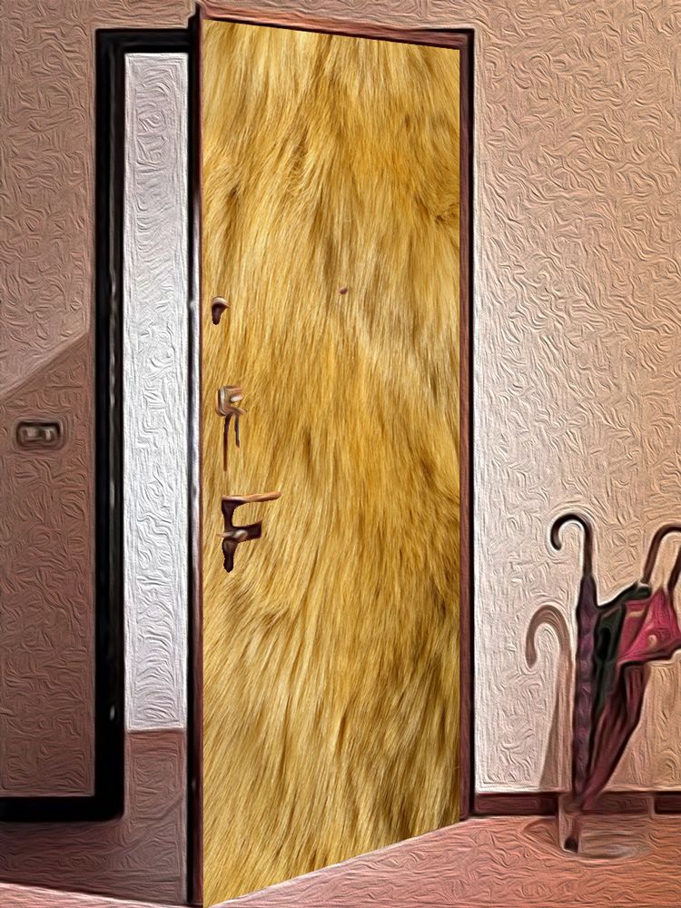Наклейка на дверь -  Шерсть льва