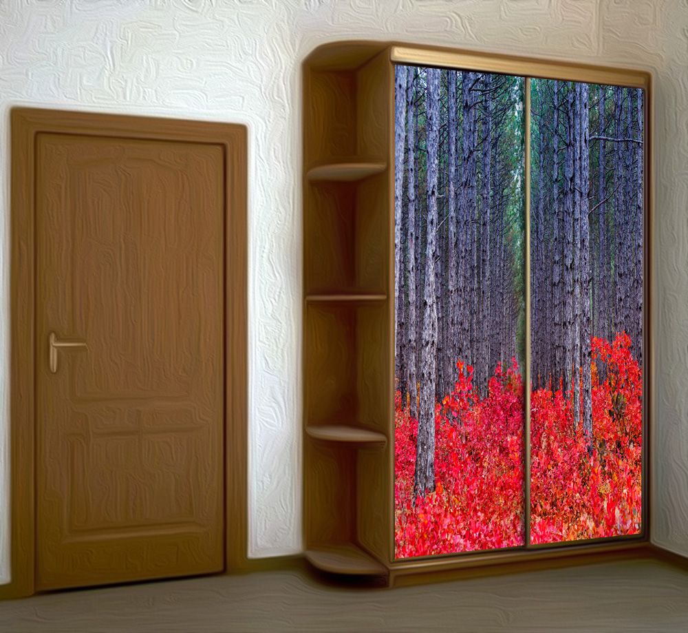 Наклейка на шкаф - Красный лес