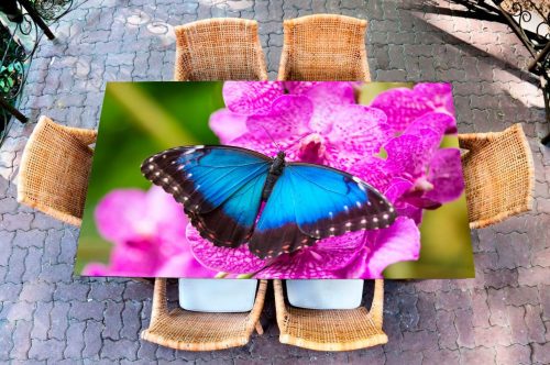 Наклейка на стол — Бабочка Морфо